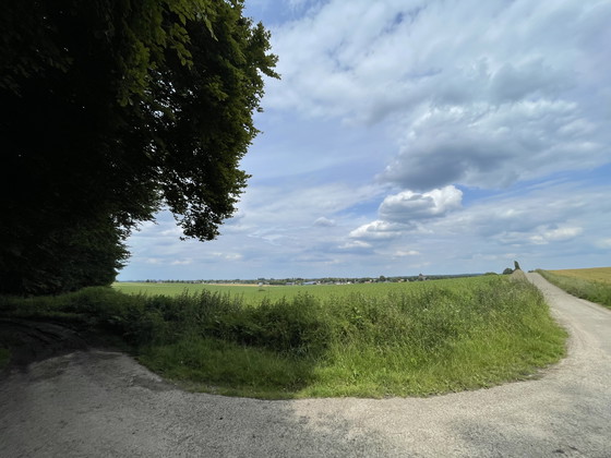 Image 1 of Réinitialisation du test
