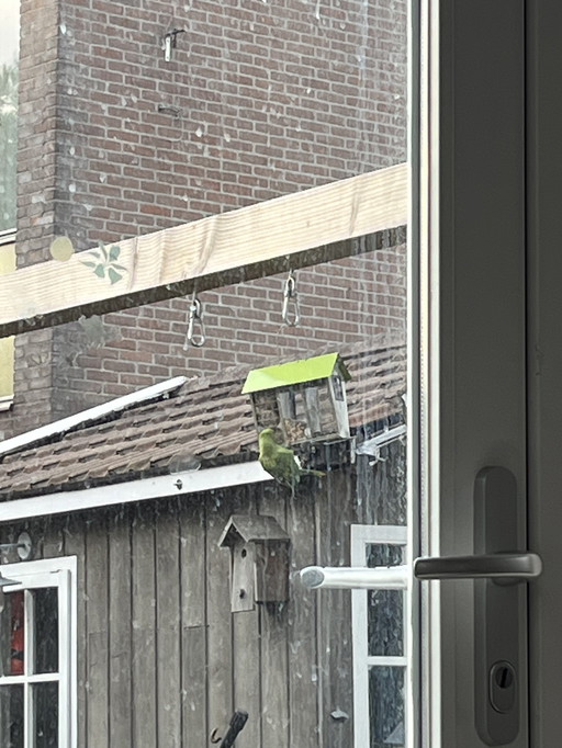 Clon de prueba del CES