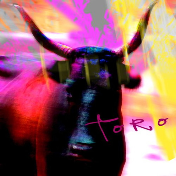 Image 1 of Torooo