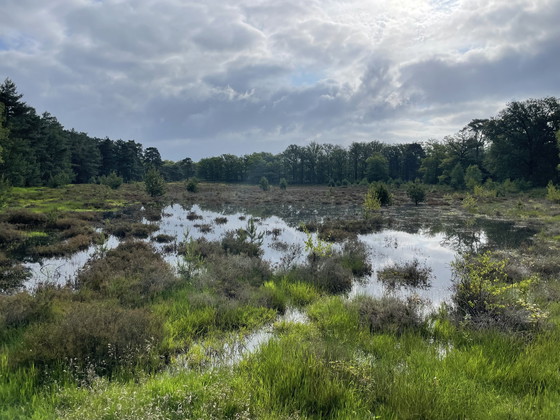 Image 1 of Amerongse Bank