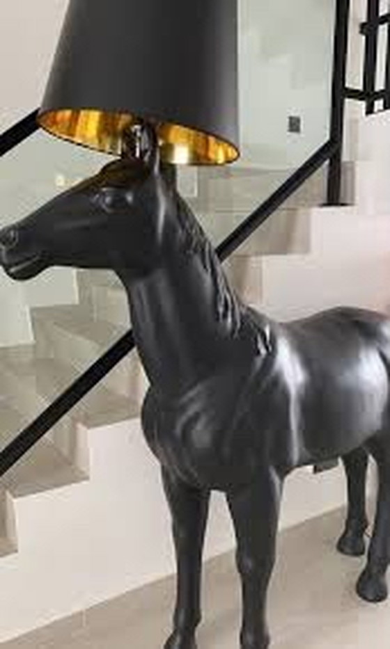 Image 1 of Paardenlamp