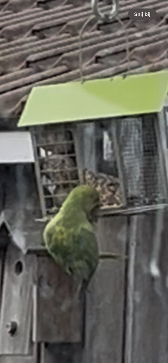 Image 1 of Prueba CES