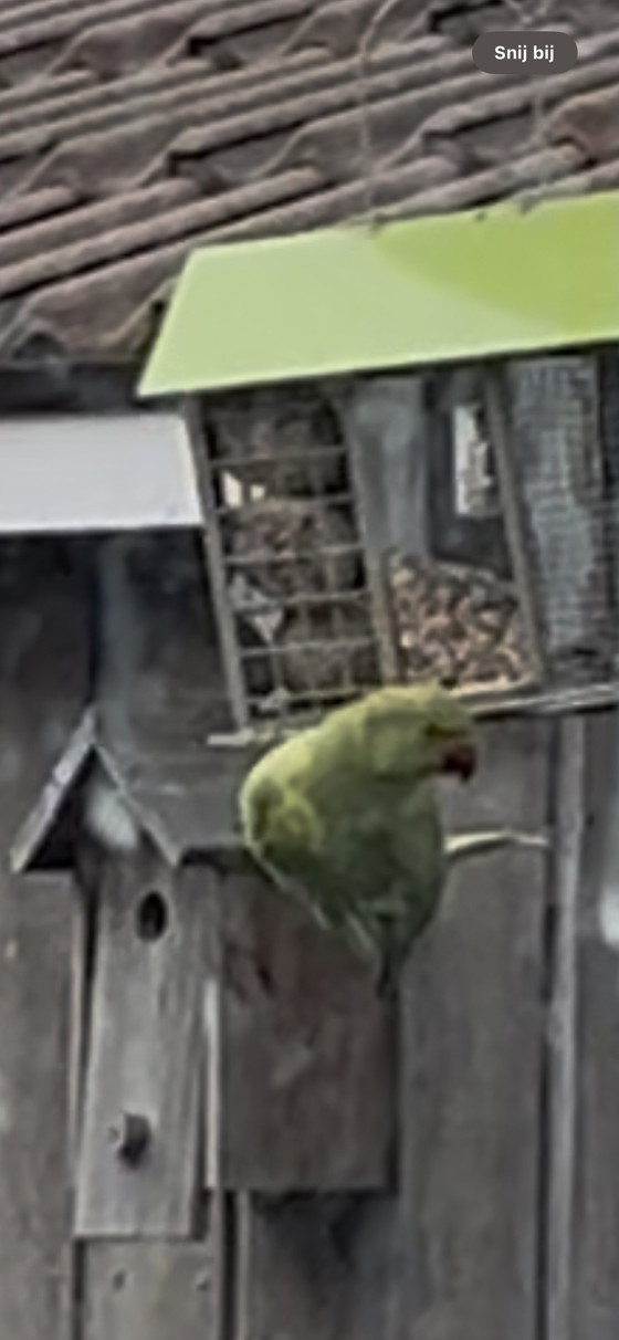 Image 1 of Prueba CES