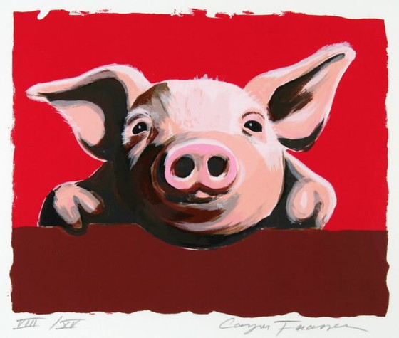 Image 1 of Pig I