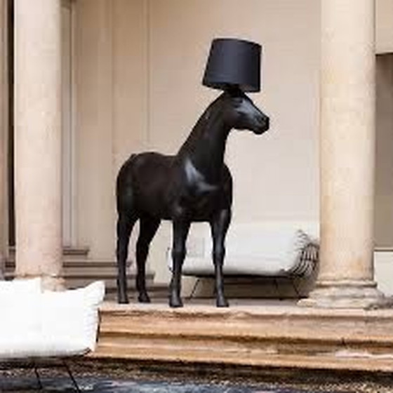 Image 1 of A horse in the hallway