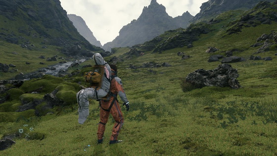 Image 1 of Spedizione personalizzata per gatti per confermare il flusso