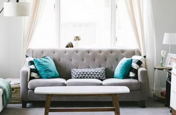 Image 1 of Lux Sofas