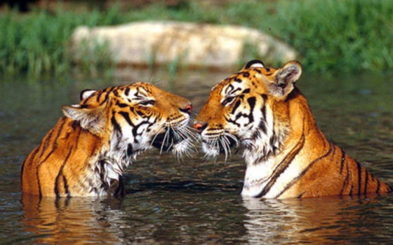 Image 1 of Bid modal langer Produktname Test Test Test wwwwww Test Test Test