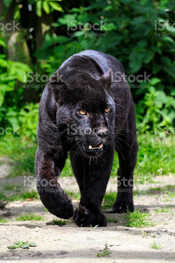 Image 1 of Markenfehler bearbeiten
