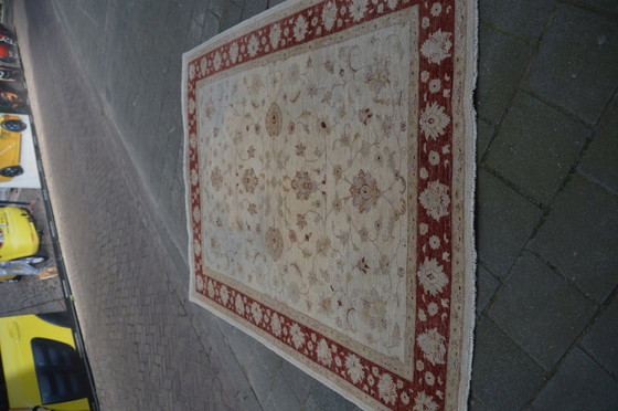Image 1 of AR - Ziegler-Teppich