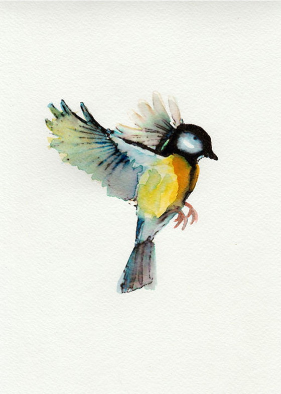 Image 1 of Satz Vogelmalerei