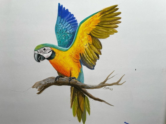 Image 1 of Satz Vogelmalerei