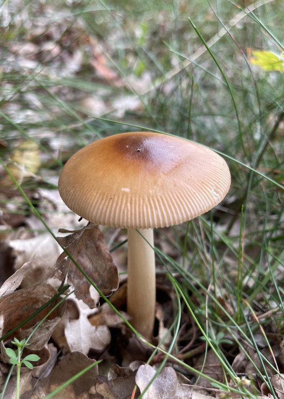 Image 1 of Beleuchtung