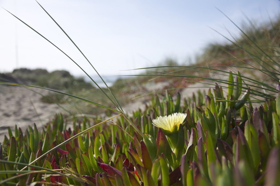 Image 1 of Ausstellungsraum