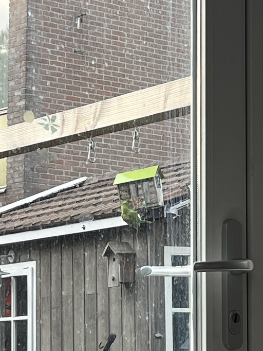 Prüfen