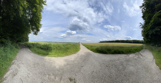 Image 1 of Test zurücksetzen