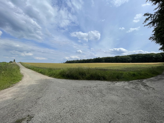 Image 1 of Test zurücksetzen