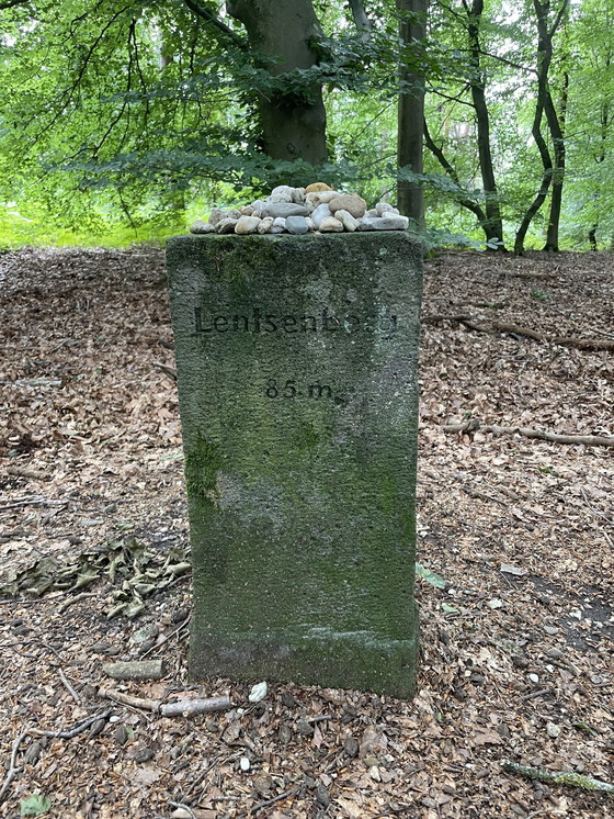 Image 1 of Test zurücksetzen