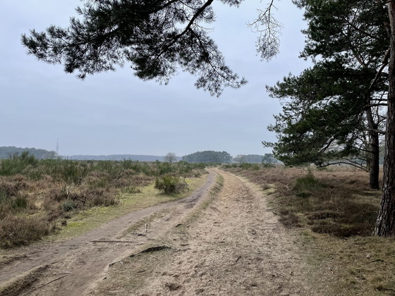 Image 1 of Anzeige
