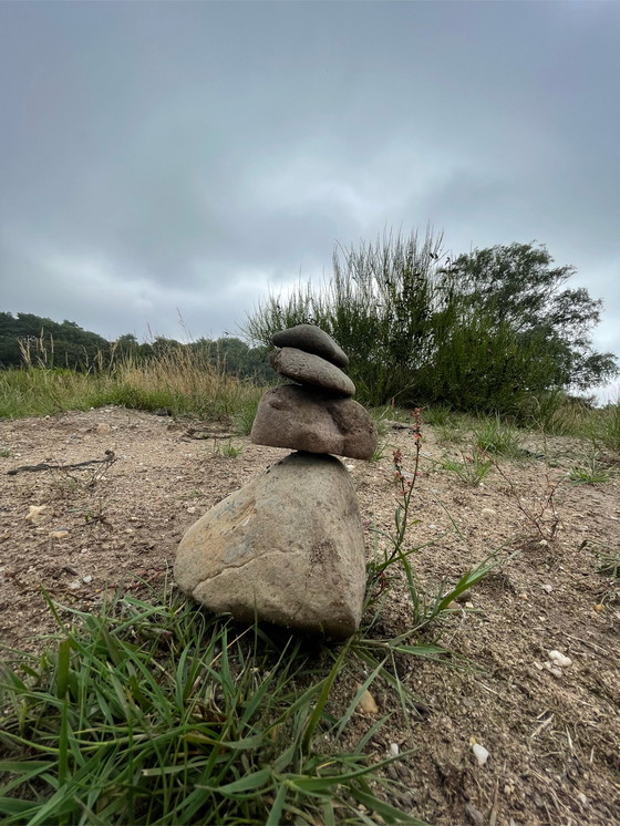 Image 1 of Stein _