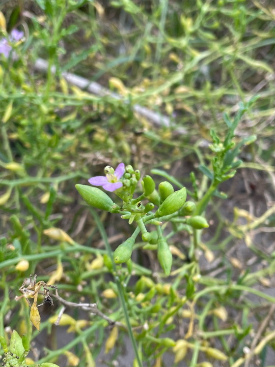 Image 1 of Dekoration
